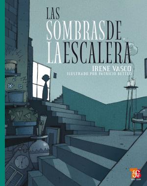 Cover of the book Las sombras de la escalera by Isaac Schifter, Carmen González-Macías