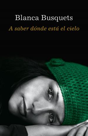 Cover of the book A saber dónde está el cielo by Raquel Mingo