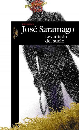 bigCover of the book Levantado del suelo by 