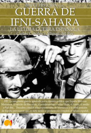 Book cover of Breve Historia de la guerra de Ifni-Sahara