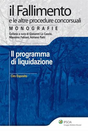 Cover of the book Il programma di liquidazione by Paolo Bruttini, Barbara Senerchia