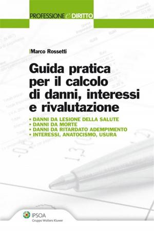 Cover of Guida pratica per il calcolo di danni, interessi e rivalutazione