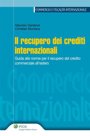 Cover of the book Il recupero dei crediti internazionali by Angelo Busani
