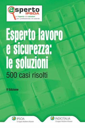 Cover of the book Esperto lavoro e sicurezza:le soluzioni by Nicolás Luzuriaga, Roberto Luchi