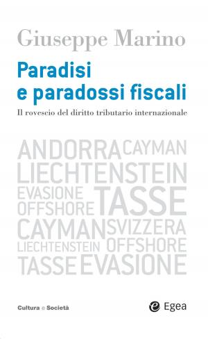 Cover of the book Paradisi e paradossi fiscali by Johan Stenebo