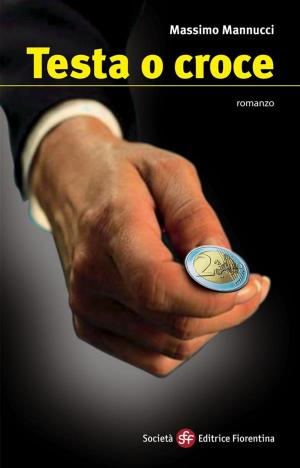 Cover of the book Testa o croce by John Brady