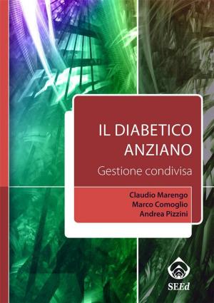 Cover of the book Il diabetico anziano. Gestione condivisa by Ennio Grassini, Rodolfo Pacifico