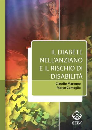 Cover of the book Il diabete nell’anziano e il rischio di disabilita' by Anna Maria De Santi, Margherita Teodori