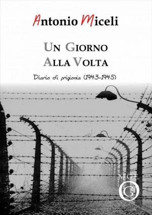Cover of the book Un giorno alla volta by Giuseppe Meligrana