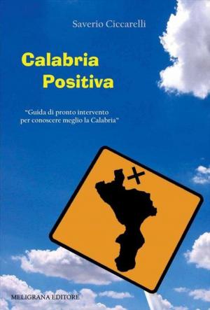 Cover of the book Calabria positiva by Antonio Miceli