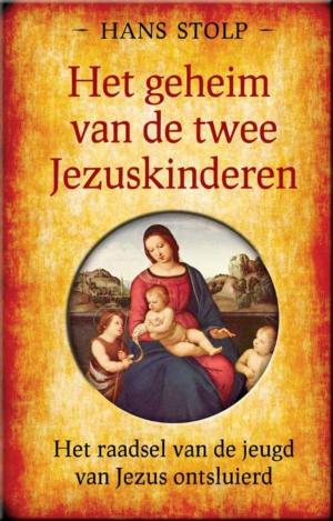 Cover of the book Het geheim van de twee Jezuskinderen by Gerard de Korte
