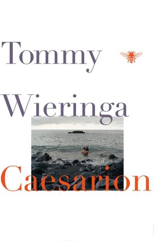 Cover of the book Caesarion by Tommy Wieringa