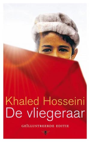 Cover of the book De vliegeraar by Tonnus Oosterhoff