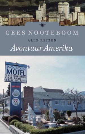 Cover of the book Avontuur Amerika by Stefan Hertmans