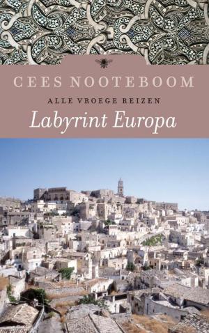 Cover of the book Labyrint Europa by Tomas Ross