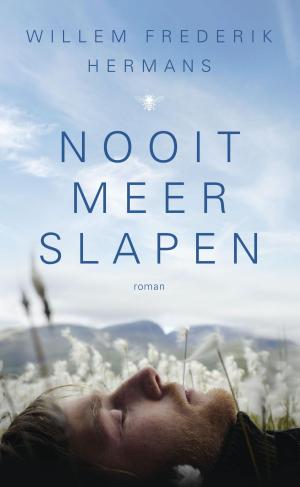 Cover of the book Nooit meer slapen by Hannelore Bedert