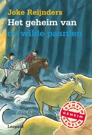 Cover of the book Het geheim van de wilde paarden by Evelien van Dort