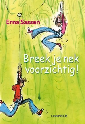 Cover of the book Breek je nek voorzichtig by Wieke van Oordt