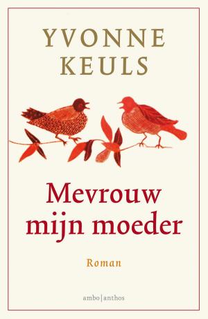 Cover of the book Mevrouw mijn moeder by DENIS BLEMONT