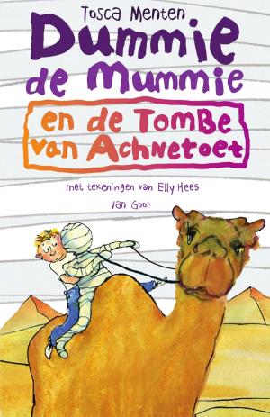 Cover of the book Dummie de mummie en de tombe van Achnetoet by Erik Hazelhoff Roelfzema