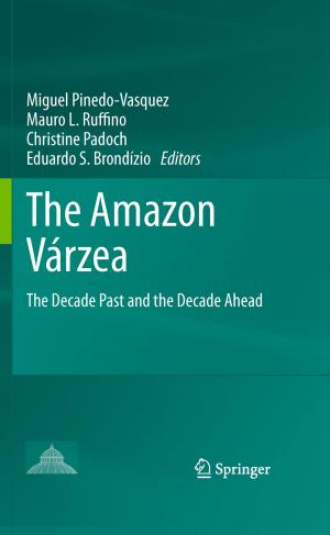 Cover of the book The Amazon Várzea by Arthur A. Meyerhoff, I. Taner, A.E.L. Morris, W.B. Agocs, M. Kamen-Kaye, Mohammad I. Bhat, N. Christian Smoot, Dong R. Choi