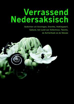 Cover of the book Verrassend Nedersaksisch by Coen Peppelenbos