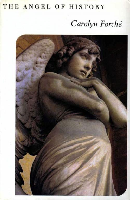 Cover of the book The Angel of History by Carolyn Forche, HarperCollins e-books