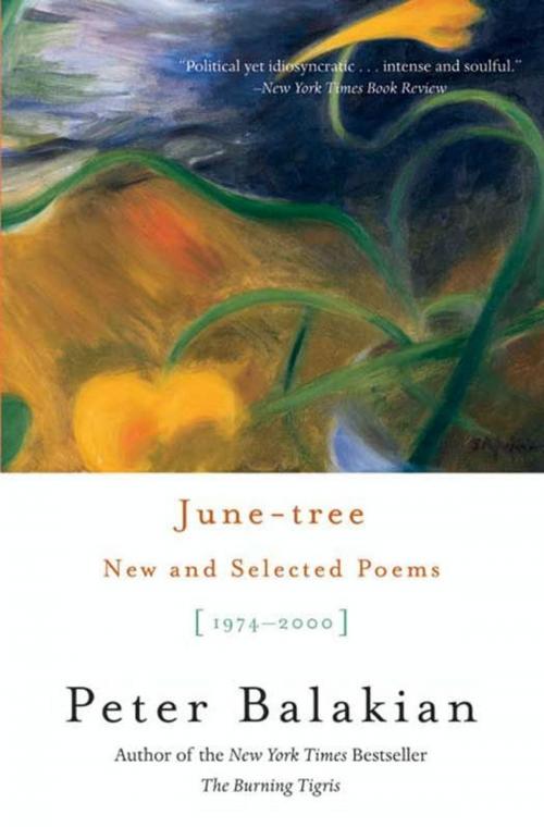 Cover of the book June-tree by Peter Balakian, HarperCollins e-books