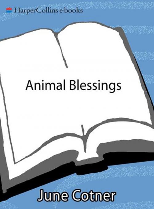 Cover of the book Animal Blessings by June Cotner, HarperOne