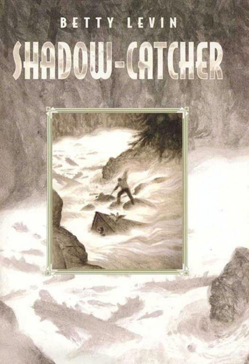 Cover of the book Shadow-Catcher by Betty Levin, Greenwillow Books