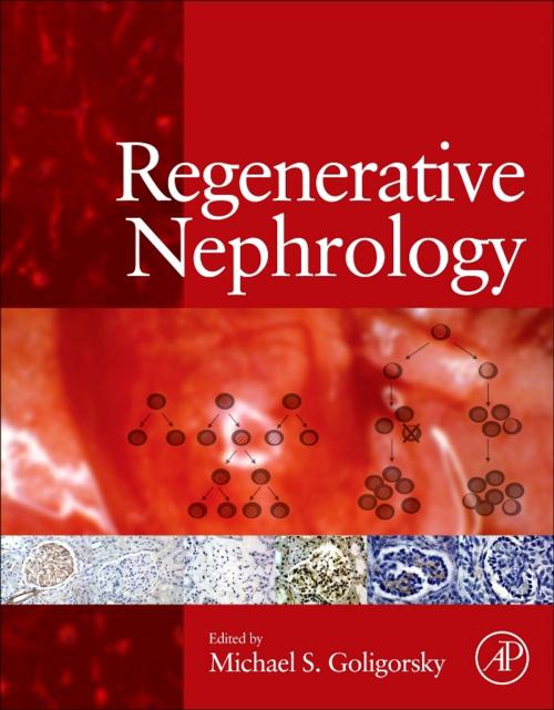 Cover of the book Regenerative Nephrology by , Elsevier Science