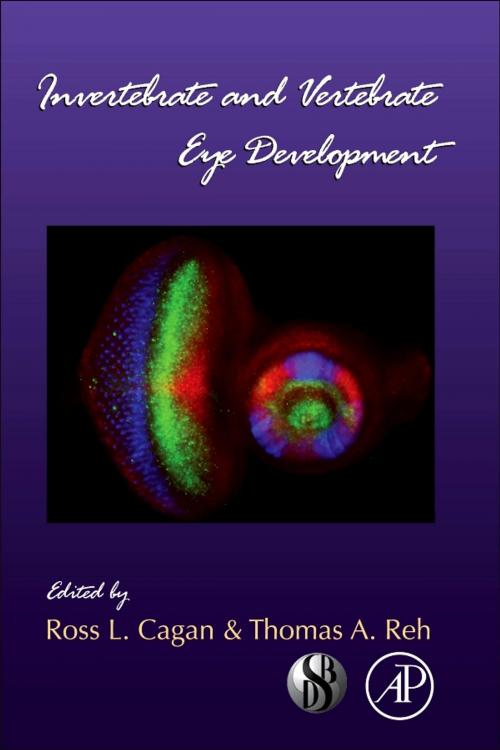 Cover of the book Invertebrate and Vertebrate Eye Development by Thomas A. Reh, Ross L Cagen, Elsevier Science