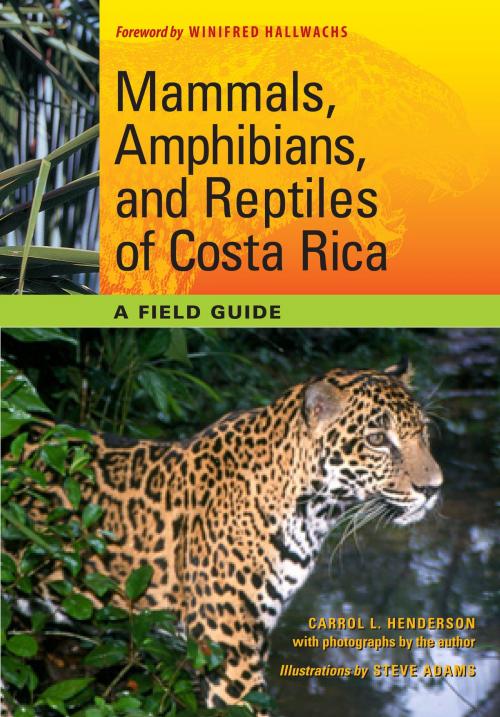 Cover of the book Mammals, Amphibians, and Reptiles of Costa Rica by Carrol L. Henderson, University of Texas Press