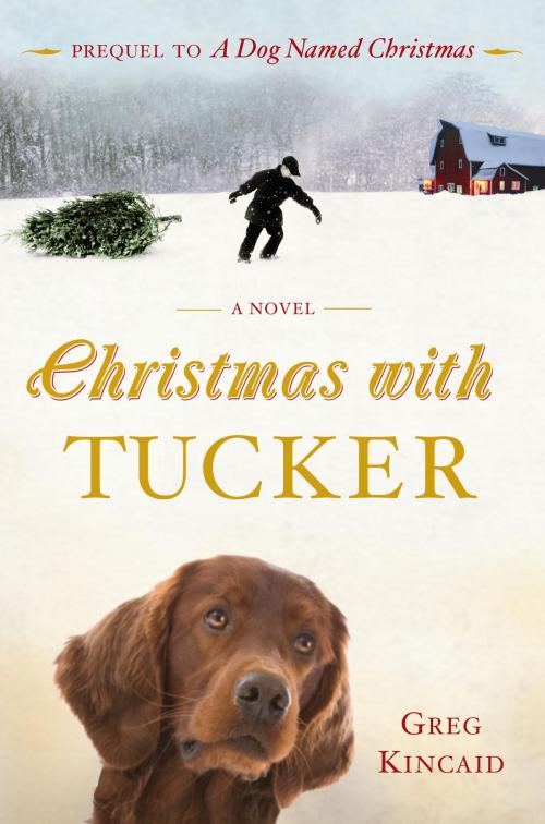 Cover of the book Christmas with Tucker by Greg Kincaid, The Crown Publishing Group