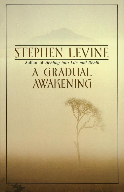 Cover of the book A Gradual Awakening by Stephen Levine, Knopf Doubleday Publishing Group