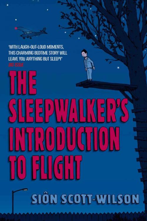 Cover of the book The Sleepwalker's Introduction to Flight by Sion Scott-Wilson, Pan Macmillan