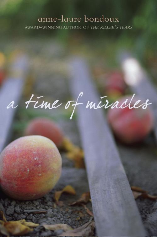 Cover of the book A Time of Miracles by Anne-Laure Bondoux, Random House Children's Books