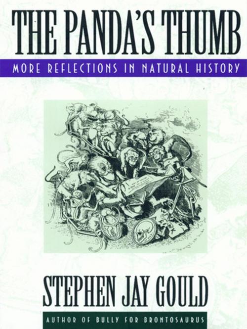 Cover of the book The Panda's Thumb: More Reflections in Natural History by Stephen Jay Gould, W. W. Norton & Company