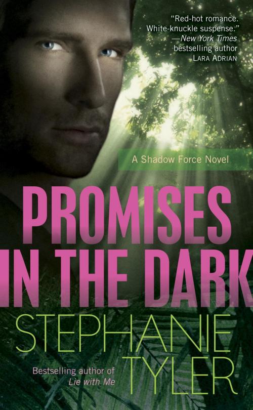 Cover of the book Promises in the Dark by Stephanie Tyler, Random House Publishing Group