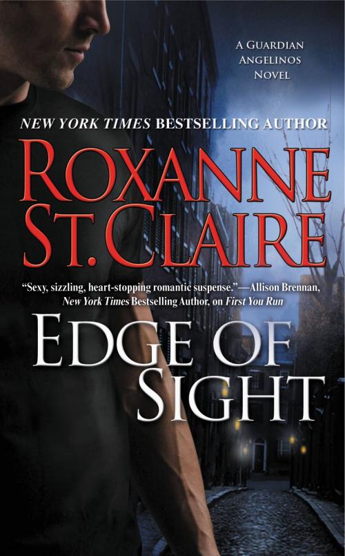 Cover of the book Edge of Sight by Roxanne St. Claire, Grand Central Publishing