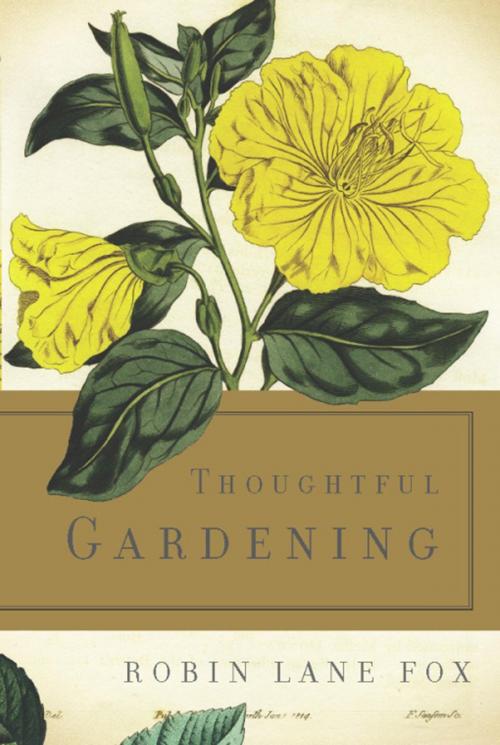 Cover of the book Thoughtful Gardening by Robin Lane Fox, Basic Books