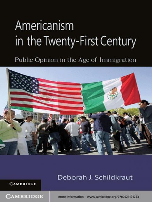 Cover of the book Americanism in the Twenty-First Century by Deborah J. Schildkraut, Cambridge University Press