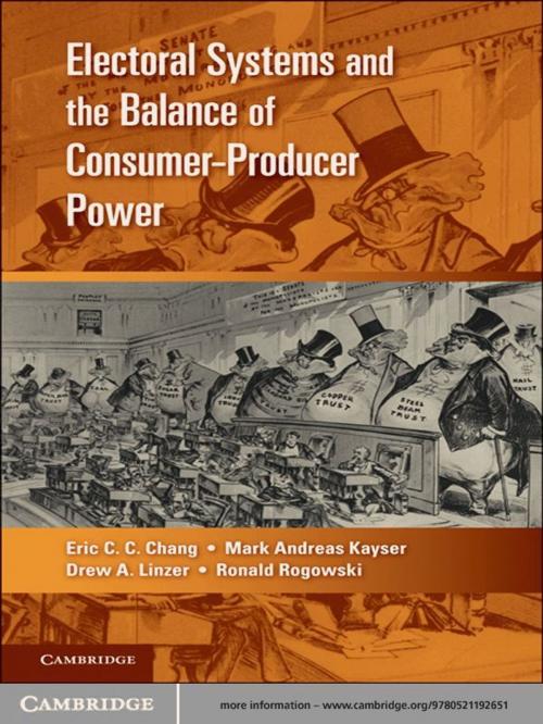 Cover of the book Electoral Systems and the Balance of Consumer-Producer Power by Eric C. C. Chang, Mark Andreas Kayser, Drew A. Linzer, Ronald  Rogowski, Cambridge University Press
