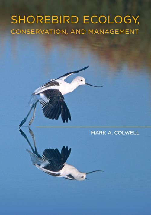 Cover of the book Shorebird Ecology, Conservation, and Management by Dr. Mark A. Colwell, University of California Press