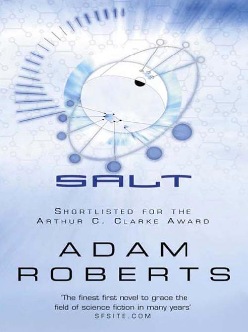Cover of the book Salt by Adam Roberts, Orion Publishing Group