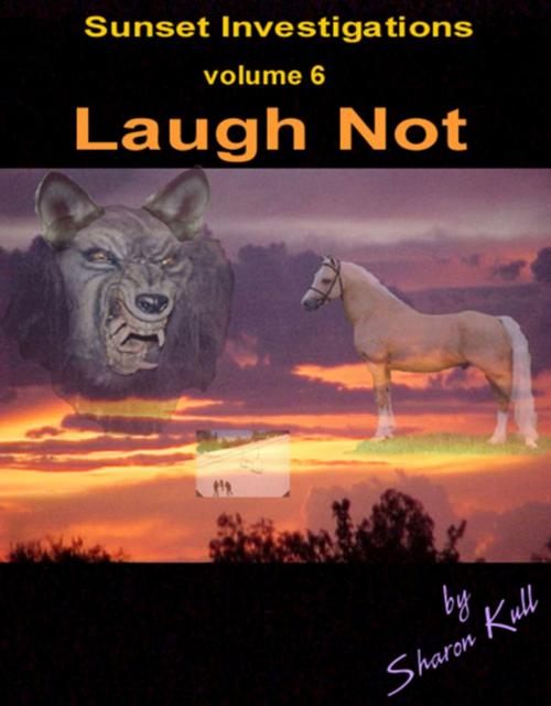 Cover of the book Laugh Not by Sharon Kull, SynergEbooks