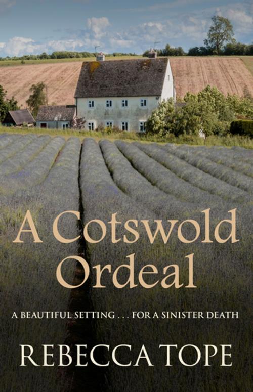 Cover of the book A Cotswold Ordeal by Rebecca Tope, Allison & Busby
