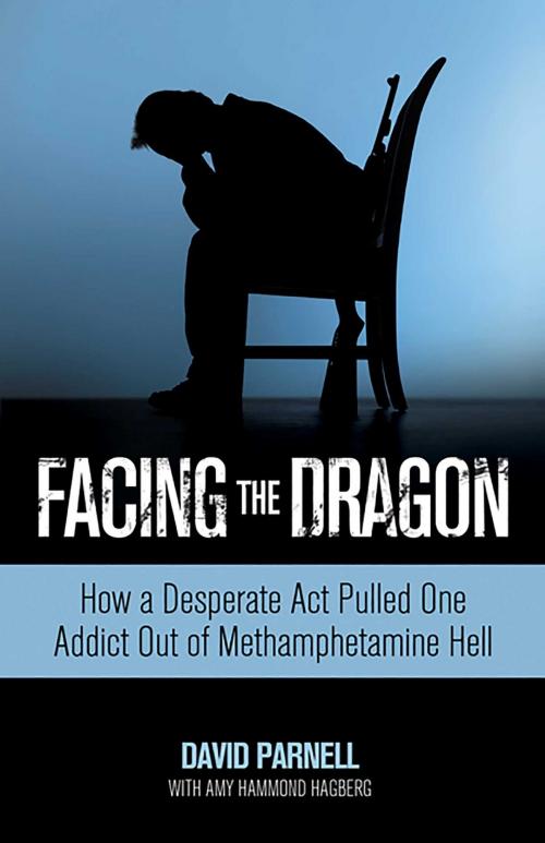 Cover of the book Facing the Dragon by David Parnell, Amy Hagberg, Health Communications Inc