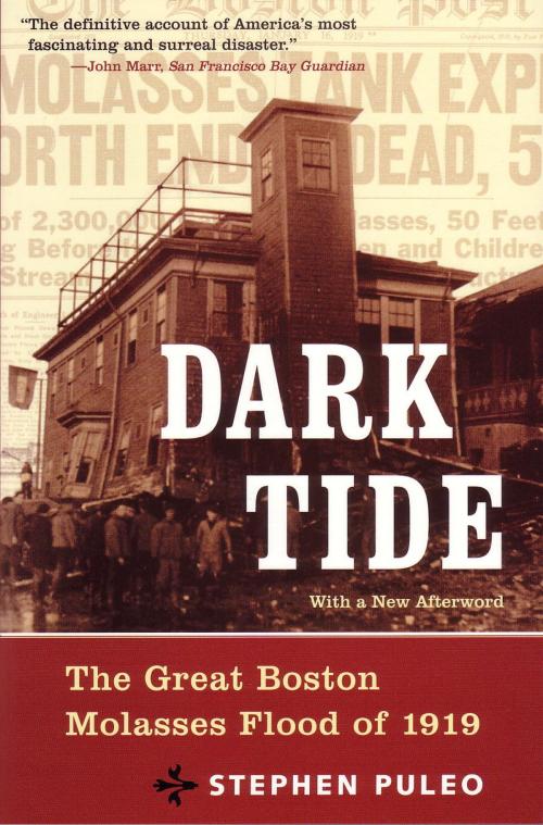 Cover of the book Dark Tide by Stephen Puleo, Beacon Press