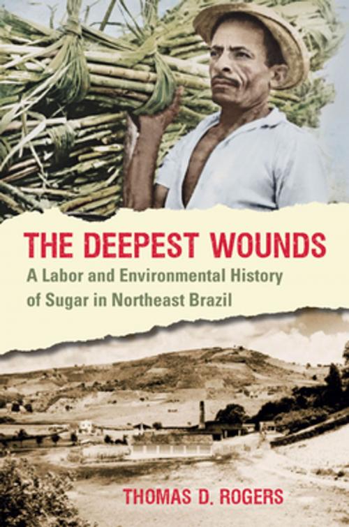 Cover of the book The Deepest Wounds by Thomas D. Rogers, The University of North Carolina Press